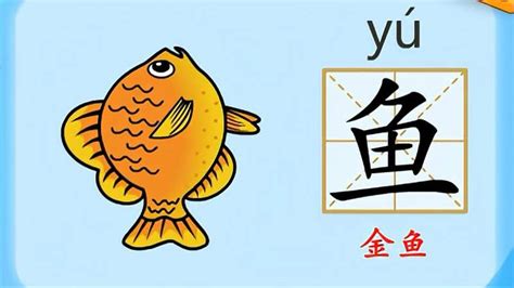 魚 意思|鱼的意思,鱼的解释,鱼的拼音,鱼的部首,鱼的笔顺